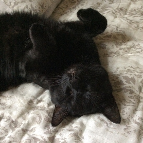 Meet your Posher, Andrea 🕸🥀🕸 - Picture 9 of 11